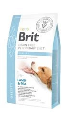 Brit Grain Free Veterinary Diet Dog Obesity Miel și mazăre 2kg