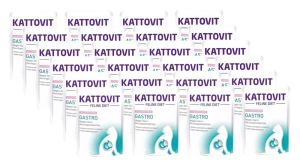 Kattovit Gastro somon 24x85g pungă