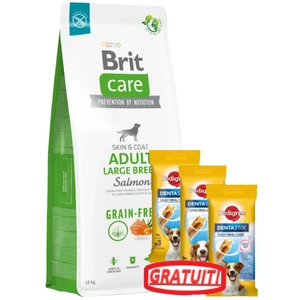 BRIT CARE Dog Grain-free Adult Large Breed Salmon 12kg+3xDentaStix GRATUIT!
