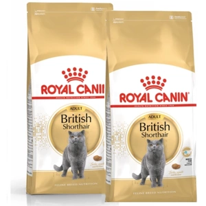 ROYAL CANIN British Shorthair 2x10 kg hrană uscată pentru pisici adulte British Shorthair.