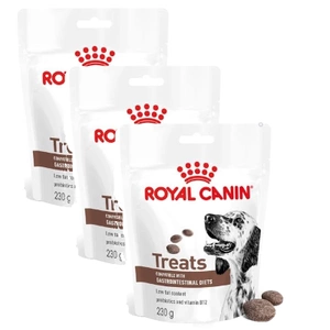 Royal Canin Dog Gastrointestinal Treats gustări pentru câini 3x230g