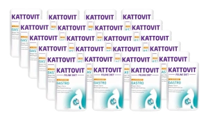 Kattovit Gastro curcan 24x85g pungă