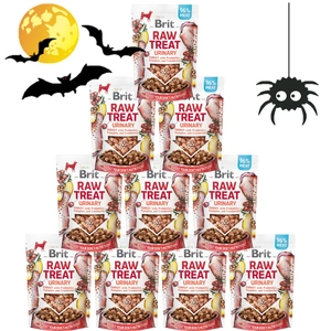 BRIT CARE Dog Raw Treat Urinary Turkey with Probiotics, Pumpkin and Cranberries 10x40g