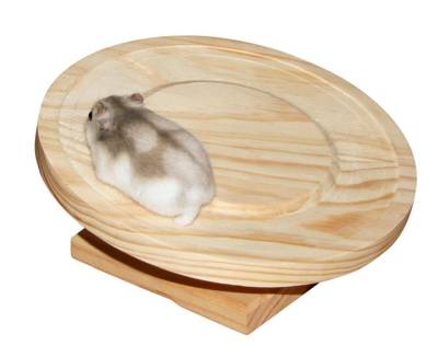 KERBL Eco Roata pivotanta pentru hamsteri de 30 cm