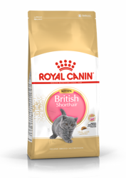 ROYAL CANIN British Shorthair Kitten 10kg + SURPRIZĂ PENTRU PISICĂ !!!